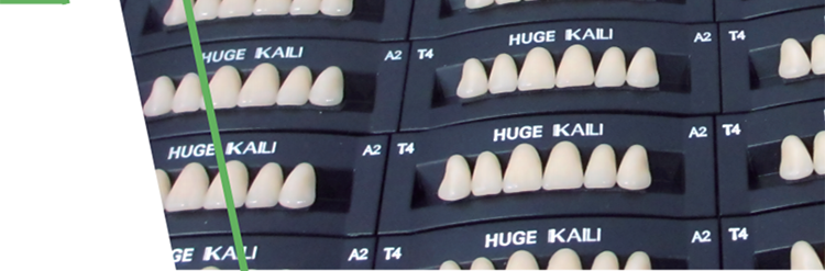 H201 Synthetic Resin Teeth KAILI 